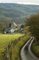 Looking back down the lane