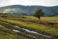 View to the west, Warren Bank