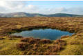 Peaty pool, Warren bank