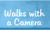 Walks with a Camera