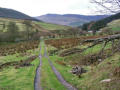 Last look up the lonely valley