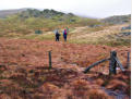 Walkers in the wind