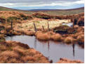 Peaty pool on the ridge