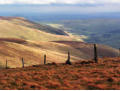 Sunshine in Cwm Maen Gwynedd