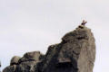 There's a man up there - climber on the tooth, magnified from the main picture above