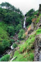 Taylorgill Force