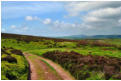 View to Wales - Corndon Hill