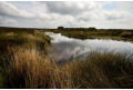 Picnic place - the pools near Pole Cottage