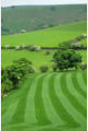 Striped fields near Coates Farm