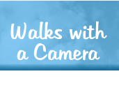 Walks with a Camera