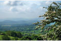 May blossom and a view to the south