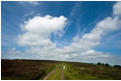 Open moorland