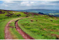 High moor - the view to the Stiperstones