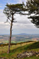 View to the Wrekin