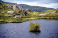 Peaty pool with bog cotton, Calf Crag