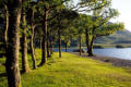 Crummock Water lakeside