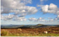 View to the Wrekin