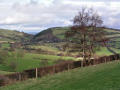 View east towards Cefn Einion