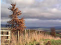 South-east towards Clun