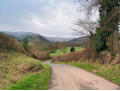 The lane near Whitcott Keysett