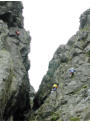 Crag rats, Dow Crag