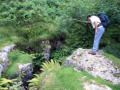 A quick inspection of Cow Pot