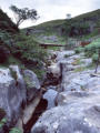 Limestone beck bottom - above the gorge
