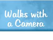 Walks with a Camera