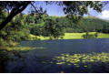 Loughrigg Tarn