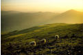 Approaching sunset, Dow Crag