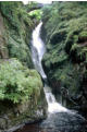 Aira Force