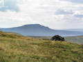 Ingleborough, seen from near the summit of Whernside