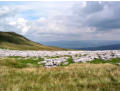 The Cross Fell range, seen from the limestone pavement