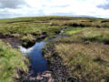 A damp spot, near Swarth Fell