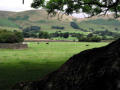 The Howgills - from the riverside path near Sedbergh