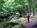 Padley Gorge