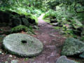 In Padley Gorge