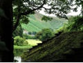 Mossy roof and Place Fell