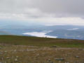Sheep and Windermere