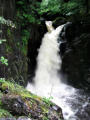 Hollybush Spout