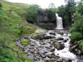 Thornton Force