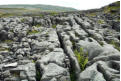 Clints and grykes, Sulber