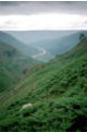 Swinnergill and the Swale