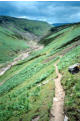 Gunnerside Gill