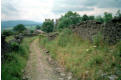 The lane into Castle Bolton