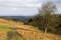 Hergest valley view near Bage