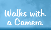 Walks with a Camera