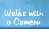 Walks with a Camera