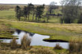 Peaty pools and the sad remains of High Park