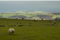 More of that elusive light in the distance - back on the ridgeway